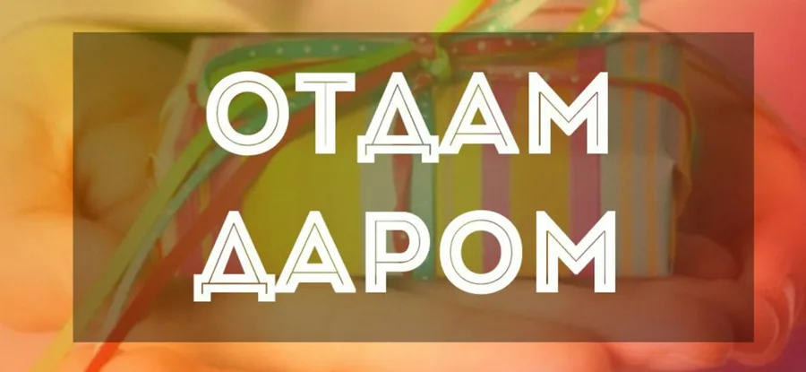 Внимание! Отдам сайт в хорошие руки! (первоапрельская шутка!)