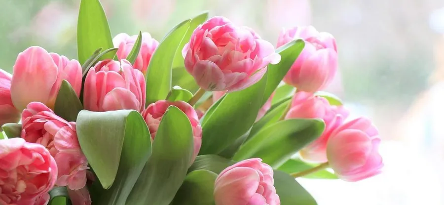 Дорогие женщины! С  праздником 8 марта!