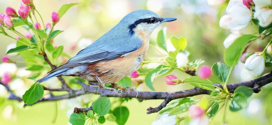 Весенний конкурс!