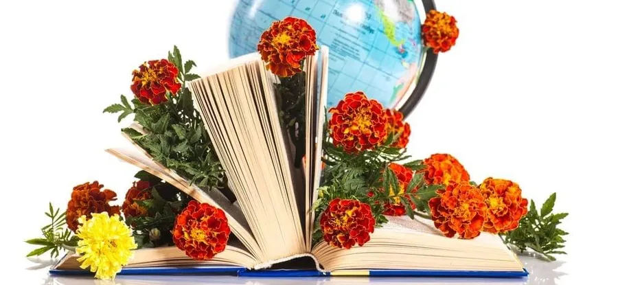 Акция "Поздравь учителя!"