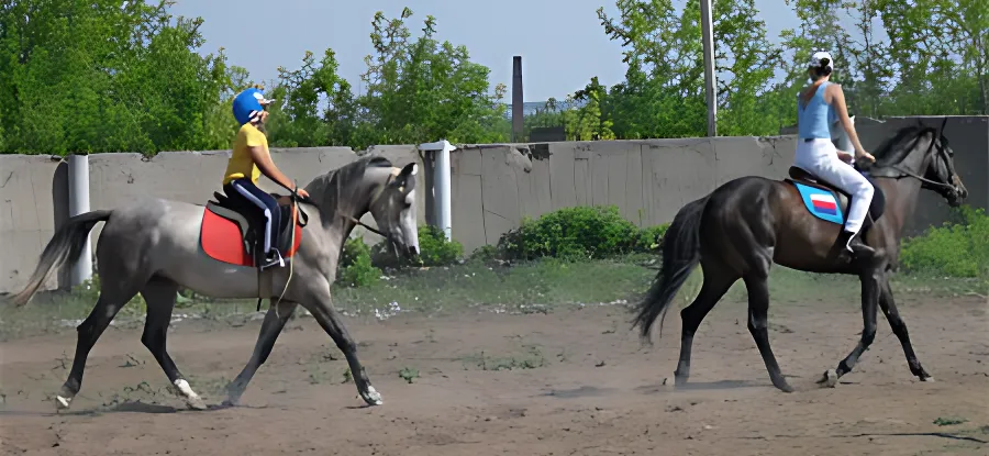 Конно-спортивная база приглашает
