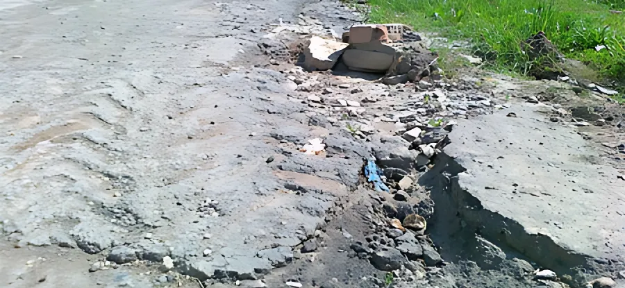 Ах сад ты мой, огород!