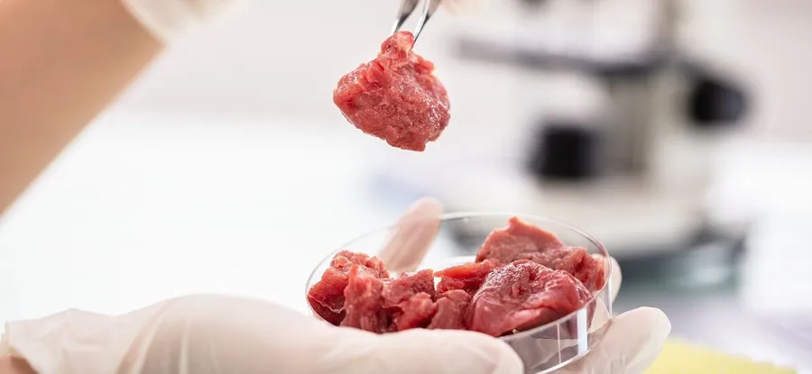 В Менделеевске обнаружены мясные полуфабрикаты неизвестного происхождения