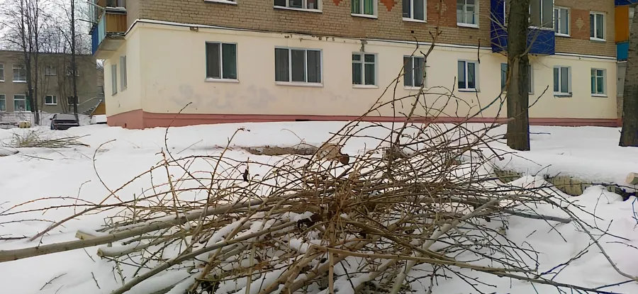 «А воз и ныне там!»