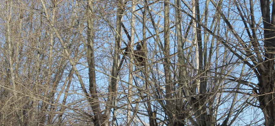 Парень, взобравшийся на высоковольтную опору остался жив