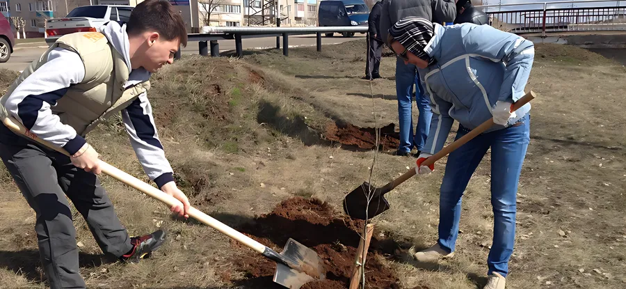 Субботник с посадкой деревьев