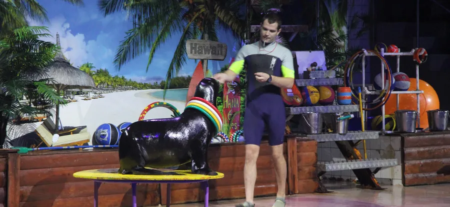 Набережночелнинский дельфинарий приглашает