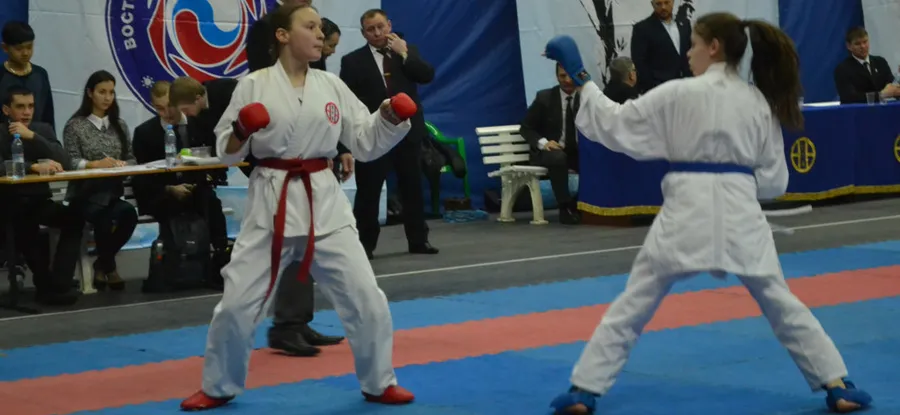 Восточные единоборства - на высоком уровне