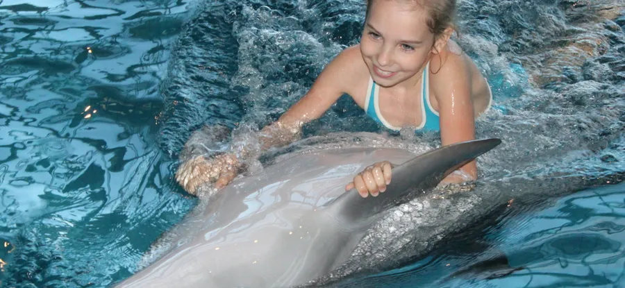 Дельфинарий приглашает!