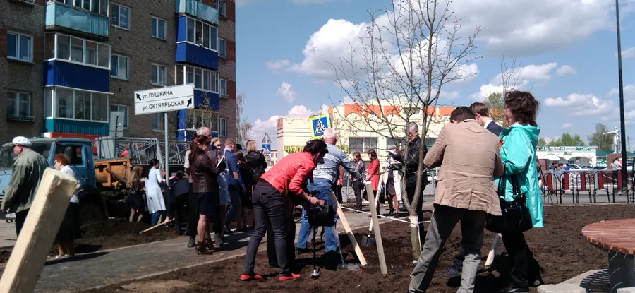 Новому парку - новые деревья