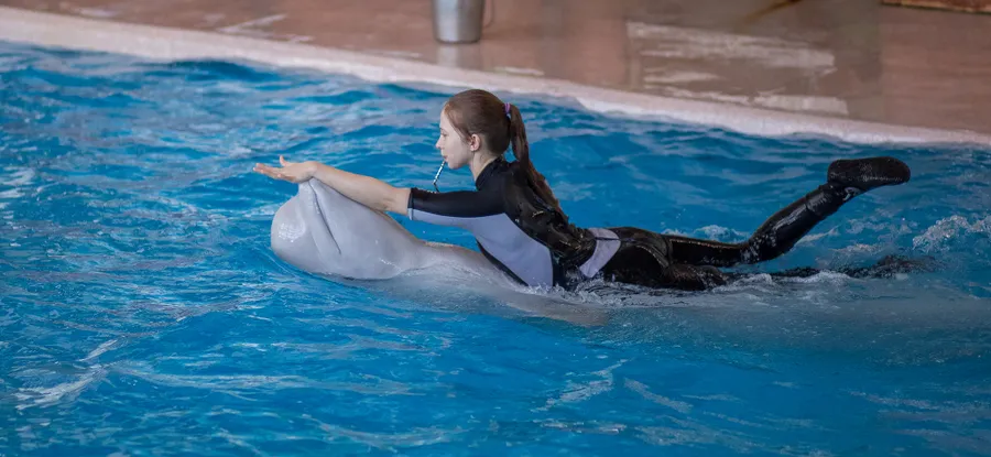 Долгожданные каникулы вместе с дельфинами!