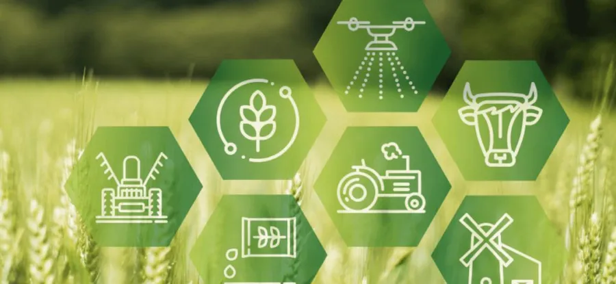 Промышленному парку по выпуску удобрений «Аммоний-Агро» - быть!