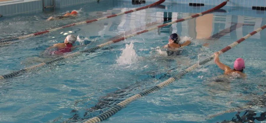 «Плавничок» на первом месте.