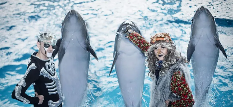 Челнинский дельфинарий приглашает на новое шоу!