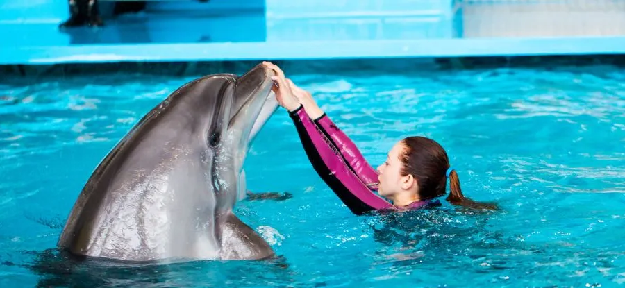 Семейный отдых в Челнинском дельфинарии - эмоции сближают!
