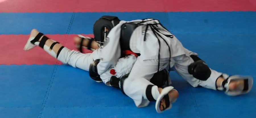 С чемпионата по Кобудо -  с медалями!