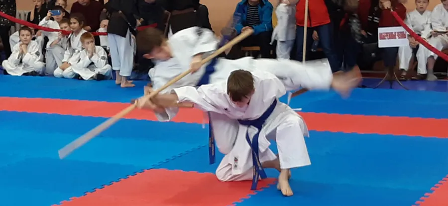 Соревнования по Кобудо и Ситор-рю на приз Деда Мороза