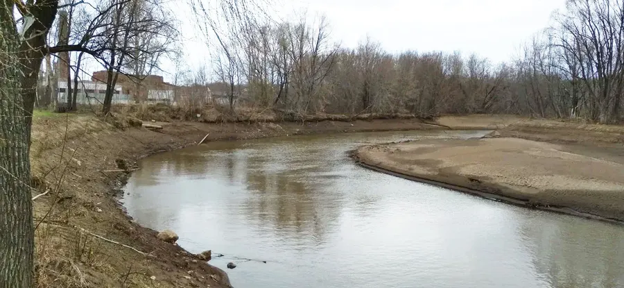 "О бедном пруде замолвите слово"