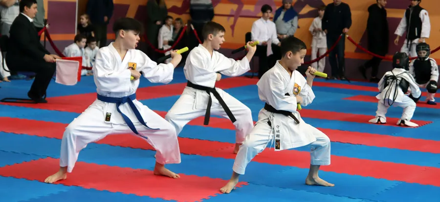 Кубок Гафарова по ВБЕ Кобудо