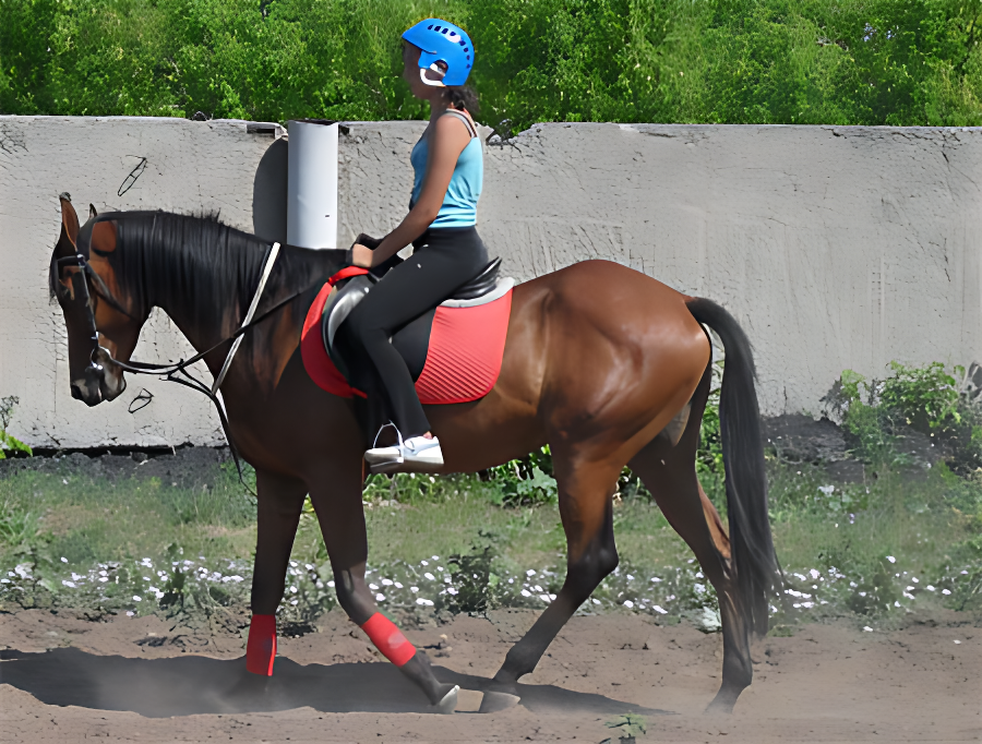 Лошади - лучшие друзья человека