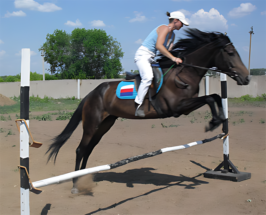 Можно научится скакать как в фильмах!