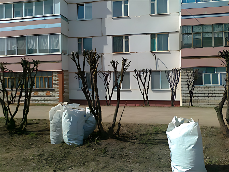 А мусор и ныне там