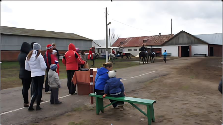 Менделеевск. Конно-спортивная база, первенство по конкуру