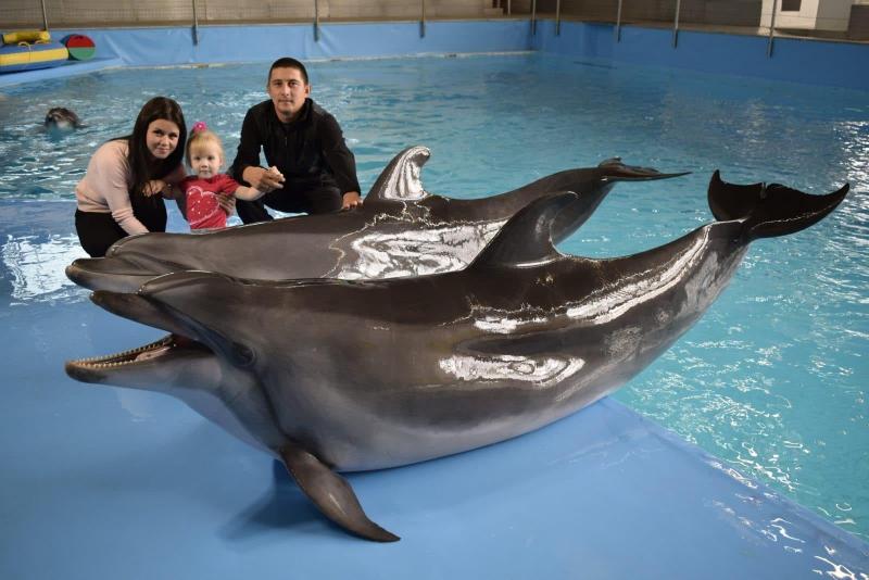 Плавание с дельфинами