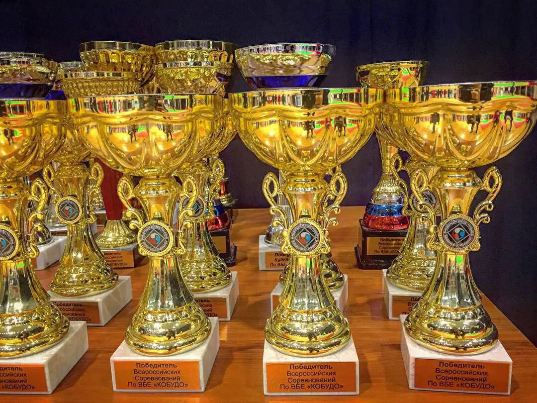 Кубок России по Кобудо. Подольск. апрель 2019